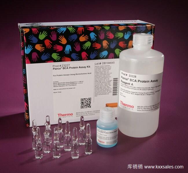 Pierce™ BCA 蛋白检测试剂盒