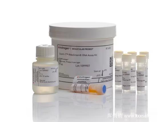 Quant-It RiboGreen RNA Assay Kit